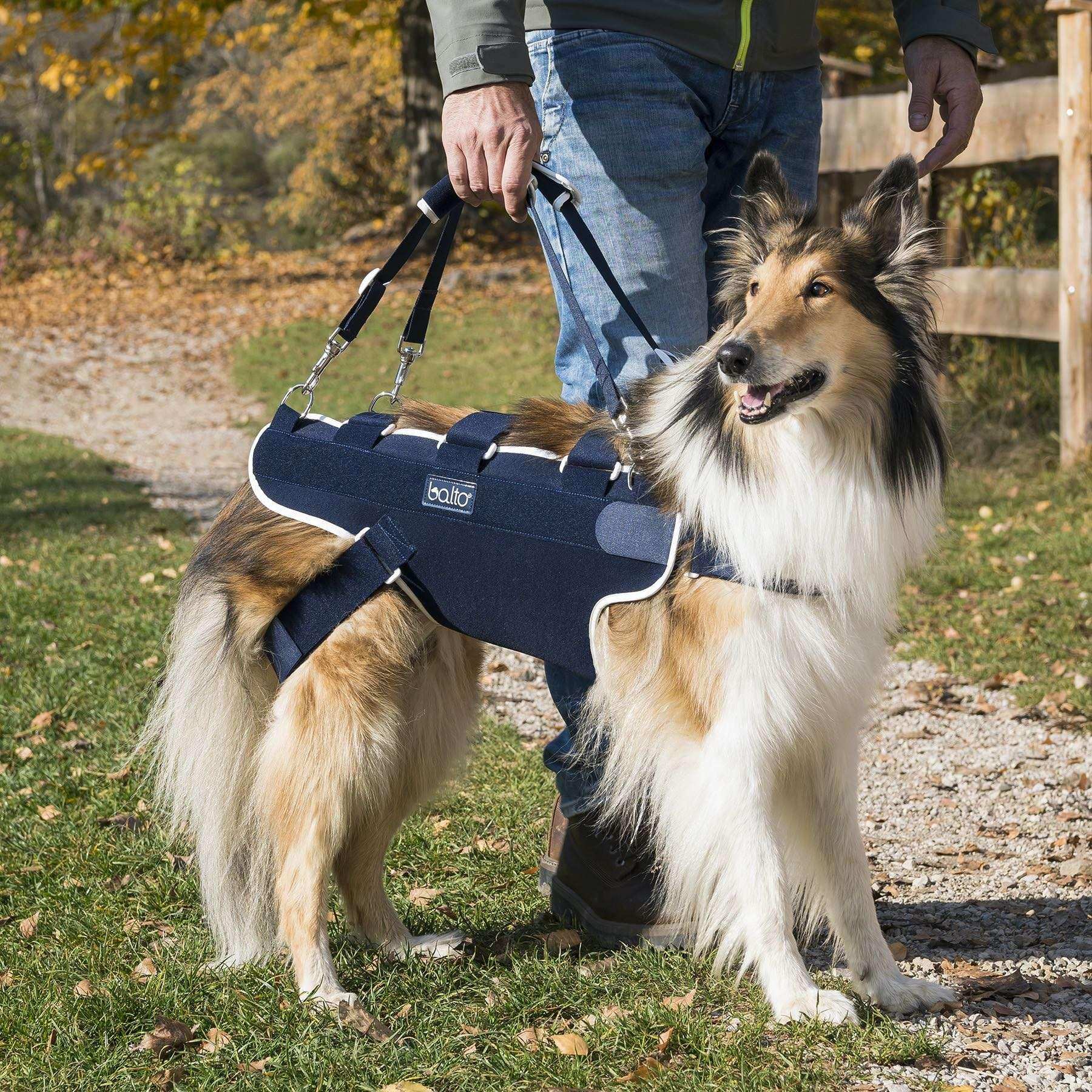 Hunde Korsett mit griff