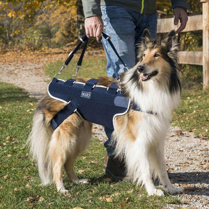 Hunde Korsett mit griff