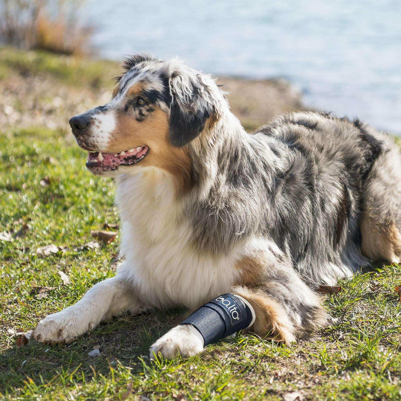 Hunde Kompressionsband für karpus
