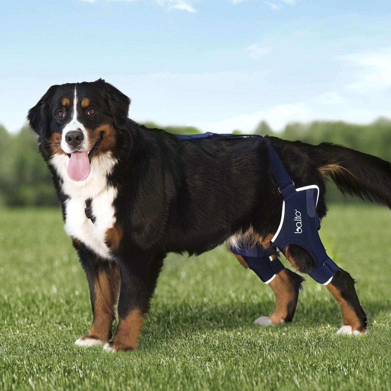 Knieorthese beidseitig für Hunde