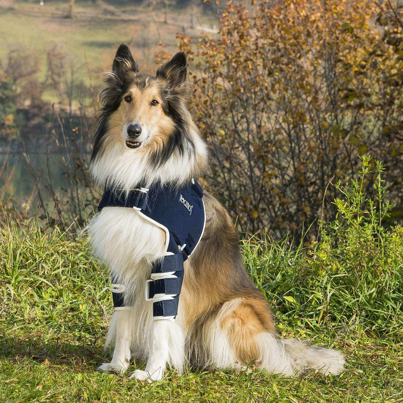 Hunde Orthese zur stabilisierung der schulter