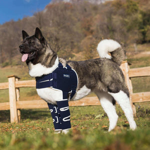 Hunde Orthese zur stabilisierung der schulter