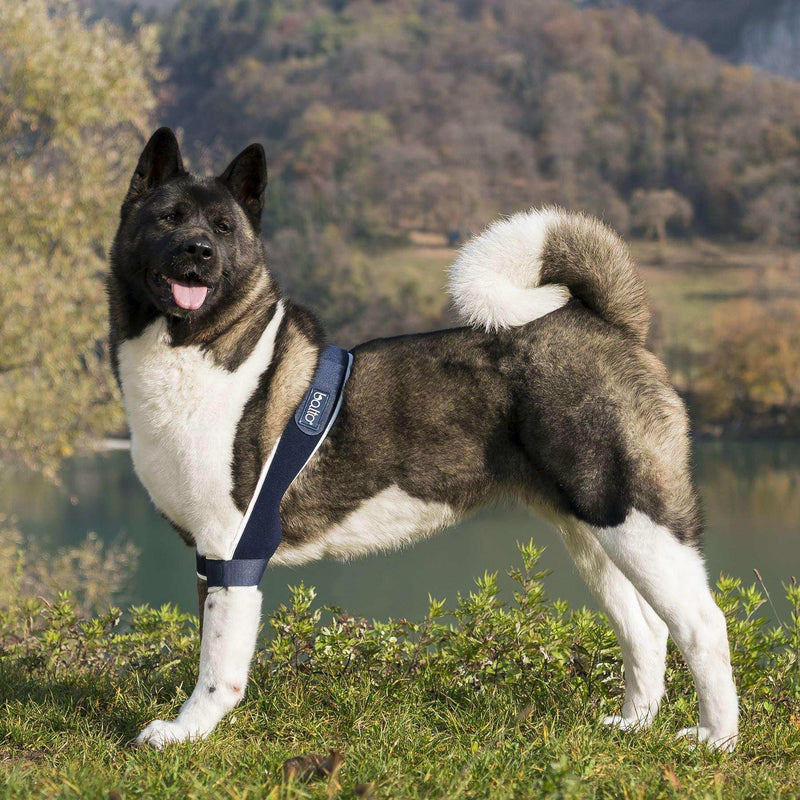 Doppelte ellbogenorthese für Hunde
