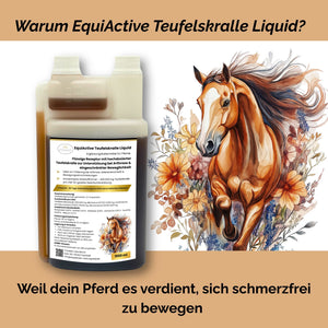 EquiActive Teufelskralle Liquid – Teufelskralle Pferd flüssig 1000 ml