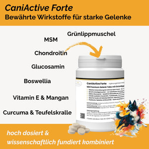 CaniActive Forte - Arthrose Hund - Grünlippmuschel Hund - MSM Hund - Glucosamin Hund