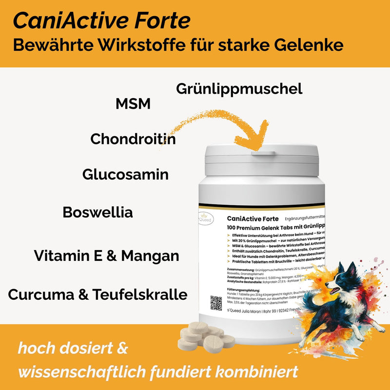 CaniActive Forte - Arthrose Hund - Grünlippmuschel Hund - MSM Hund - Glucosamin Hund