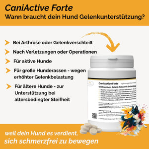 CaniActive Forte - Arthrose Hund - Grünlippmuschel Hund - MSM Hund - Glucosamin Hund