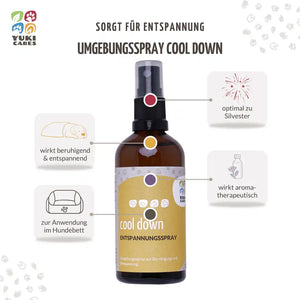 Entspannungsspray Cool down 100ml
