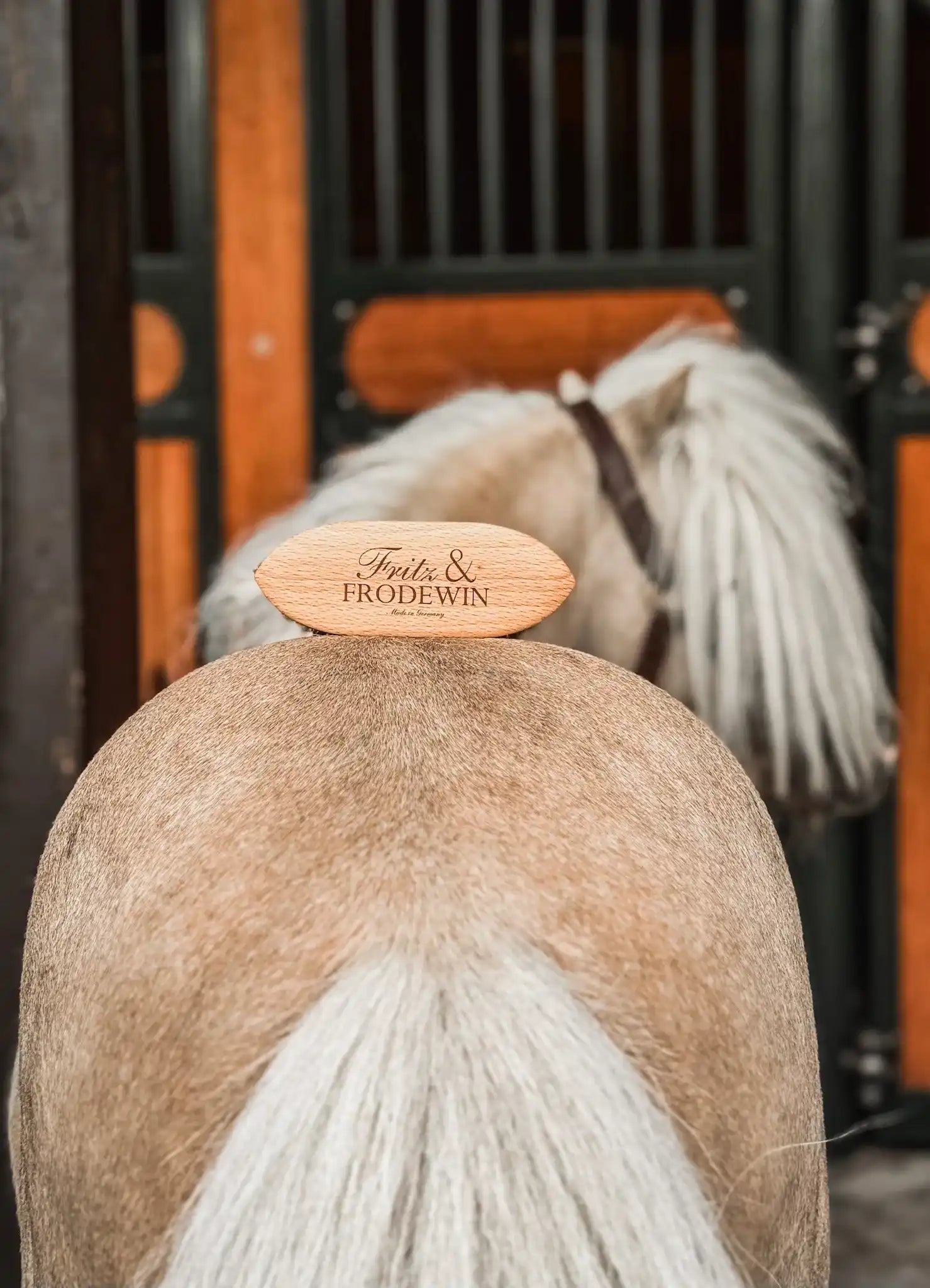 Fritz&Frodewin Allroundbürste Curt