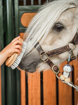 Fritz&Frodewin Allroundbürste Curt