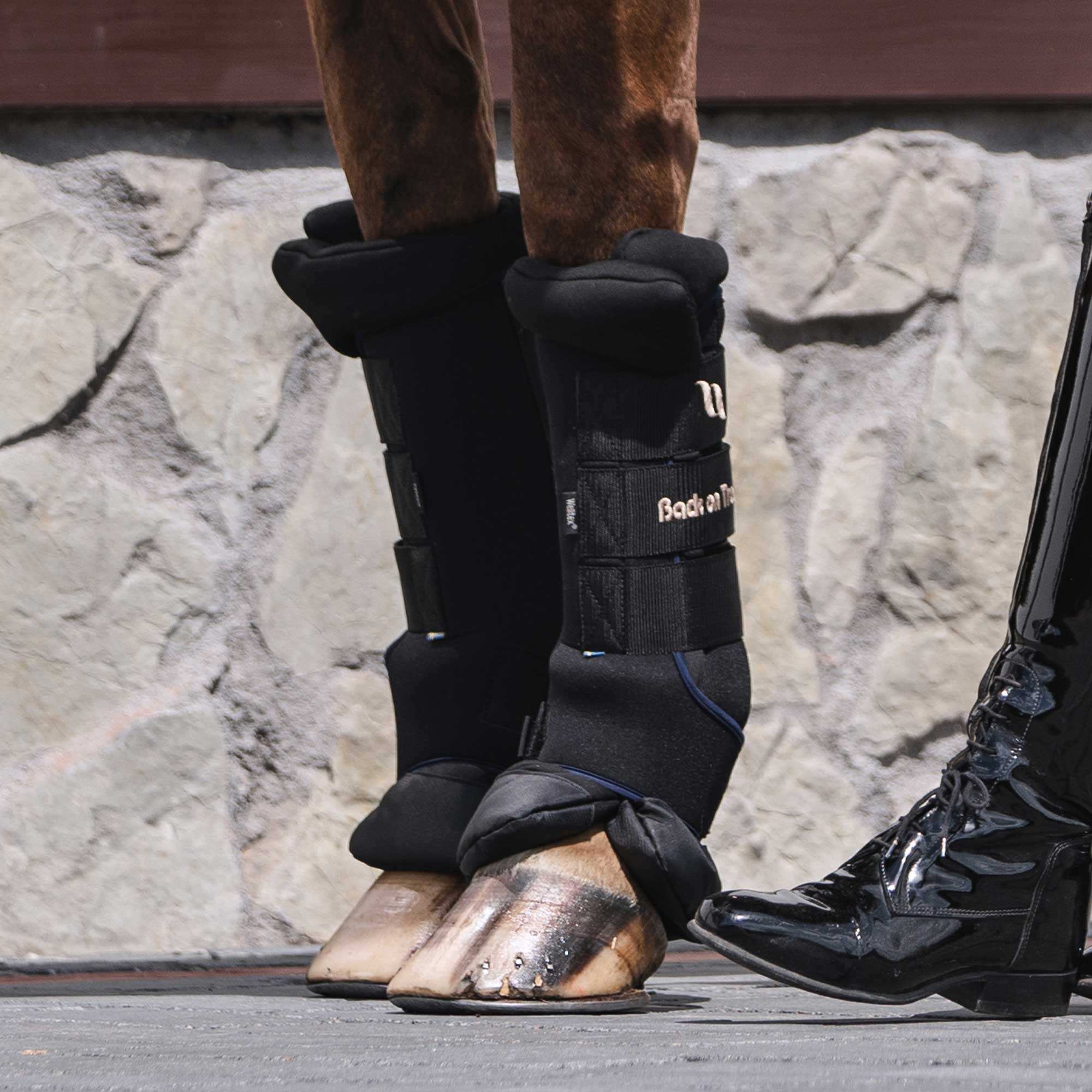 Royal Stallgamaschen Deluxe (Paar)