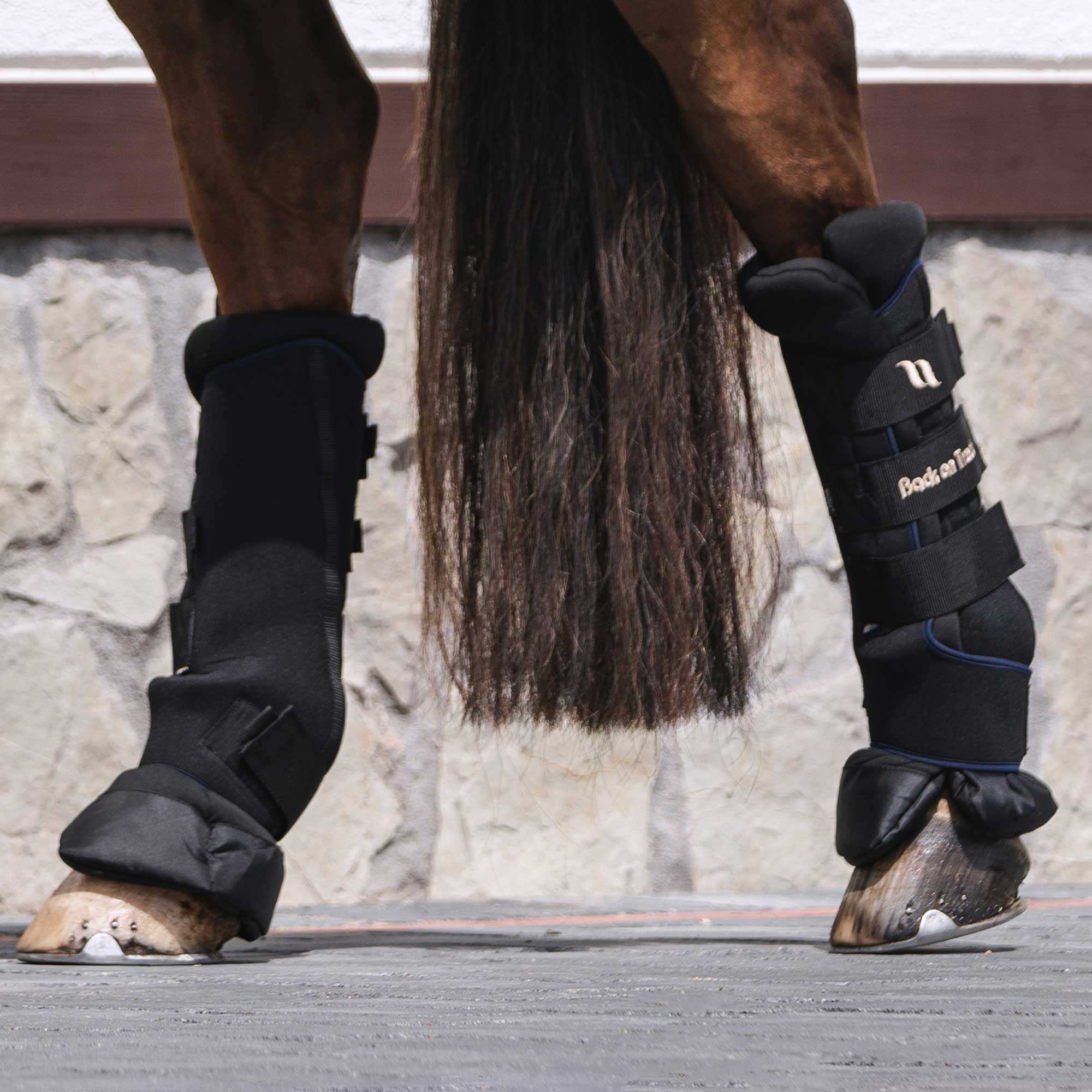 Royal Stallgamaschen Deluxe (Paar)