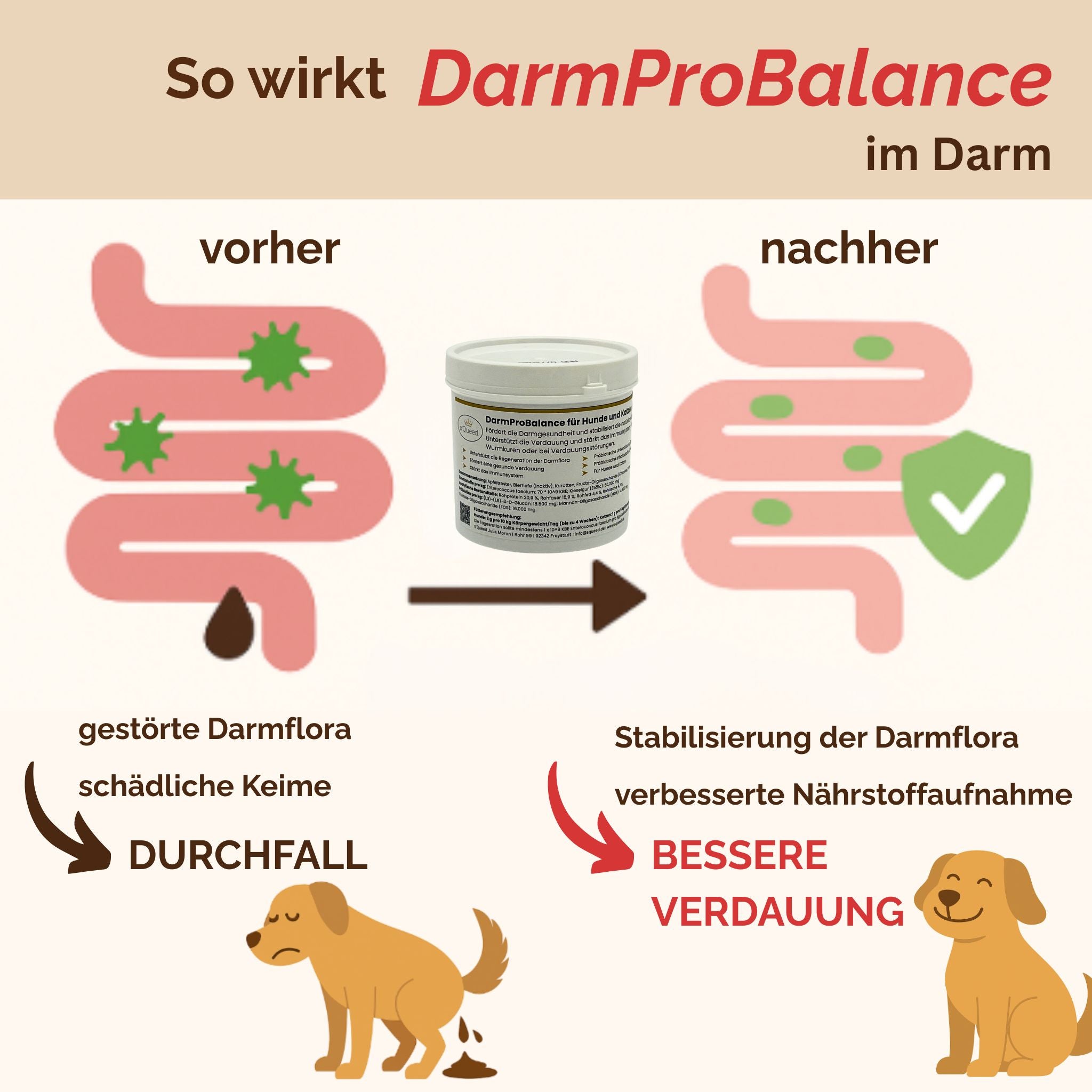 Darmpulver Hund - Durchfall Hund - Darmflora Hund aufbauen