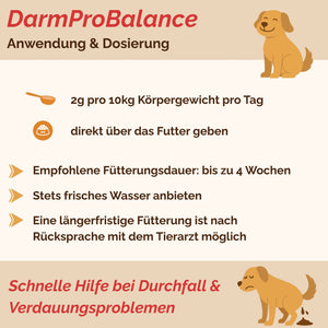 Darmpulver Hund - Durchfall Hund - Darmflora Hund aufbauen