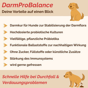Darmpulver Hund - Durchfall Hund - Darmflora Hund aufbauen