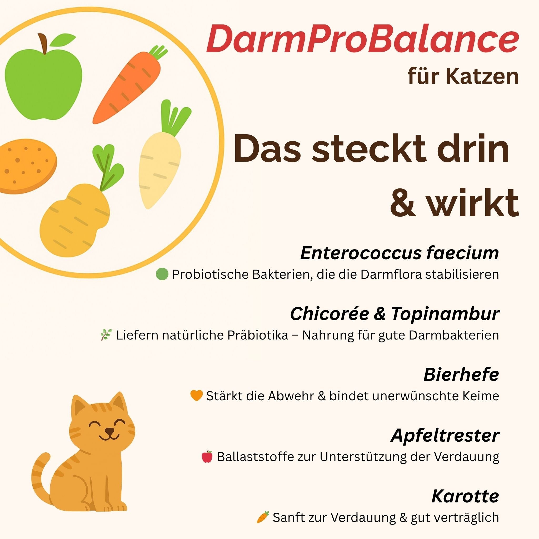 Darmpulver Katze - Durchfall und  Erbrechen Katze -Darmflora Katze aufbauen