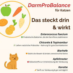 Darmpulver Katze - Durchfall und  Erbrechen Katze -Darmflora Katze aufbauen