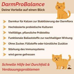 Darmpulver Katze - Durchfall und  Erbrechen Katze -Darmflora Katze aufbauen