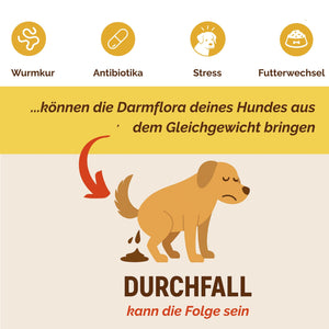 Darmpulver Hund - Durchfall Hund - Darmflora Hund aufbauen