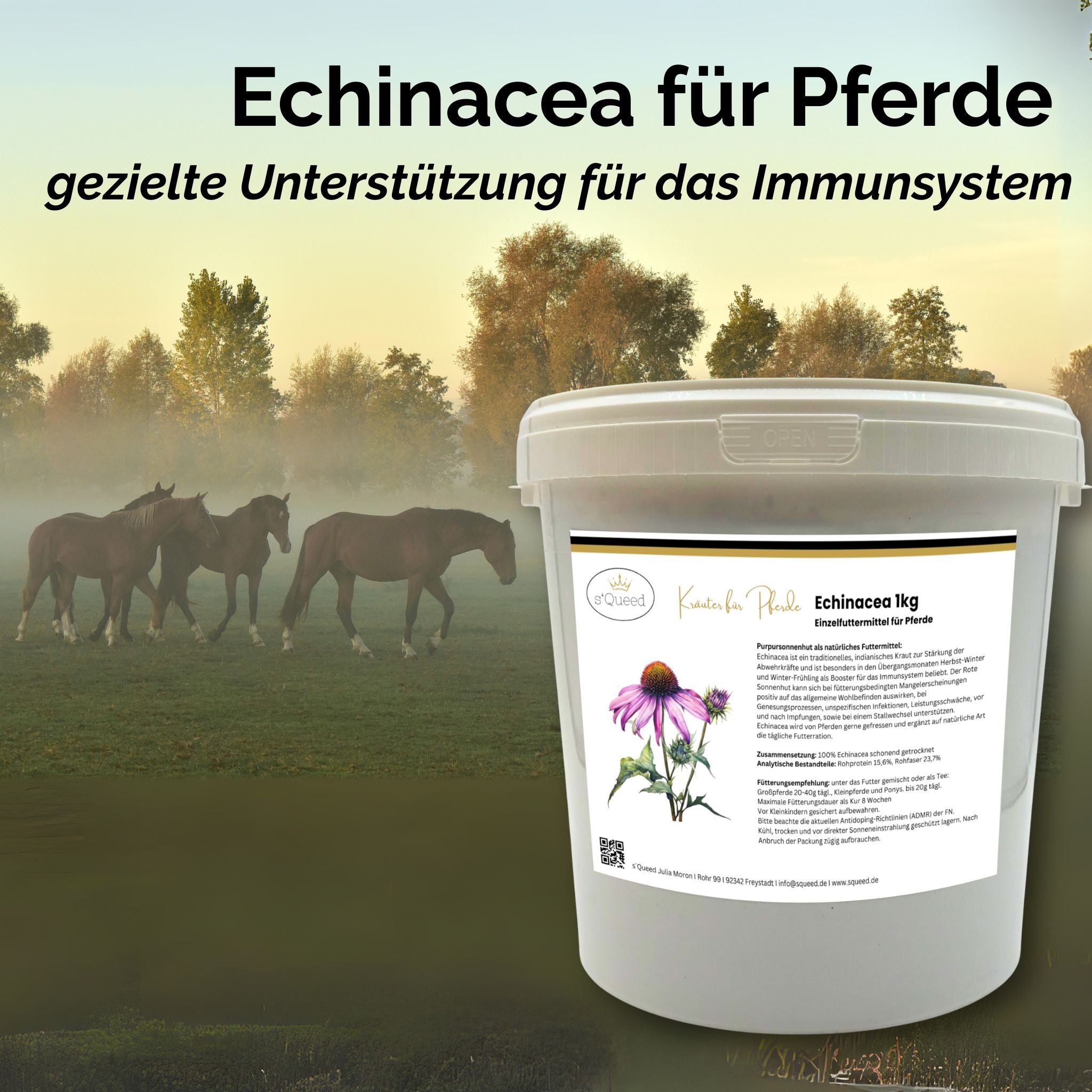 Echinacea Pferd - Zusatzfutter Immunsystem Pferd