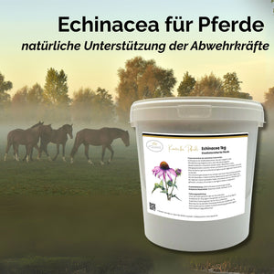 Echinacea Pferd 1kg