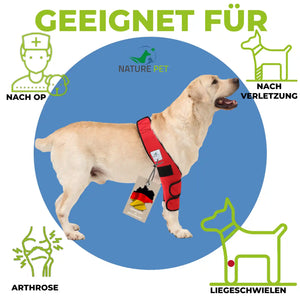 Liegeschwielen Bandage für Hunde