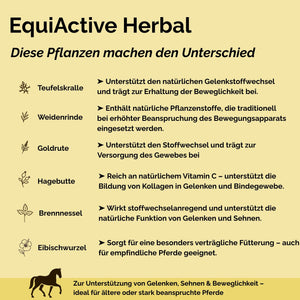 EquiActive Herbal 1kg – Kräutermischung zur Unterstützung von Beweglichkeit & Vitalität beim Pferd