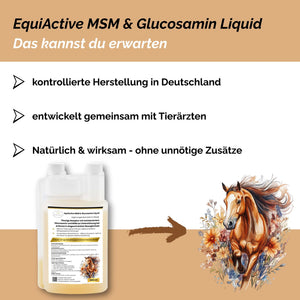 EquiActive MSM & Glucosamin Pferd Liquid 1000ml