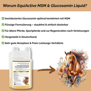 EquiActive MSM & Glucosamin Pferd Liquid 1000ml