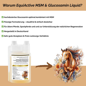 EquiActive MSM & Glucosamin Pferd Liquid 1000ml
