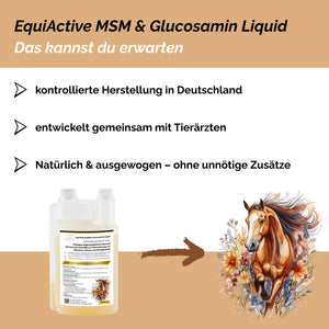 EquiActive MSM & Glucosamin Pferd Liquid 1000ml