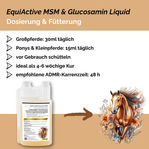 EquiActive MSM & Glucosamin Pferd Liquid 1000ml