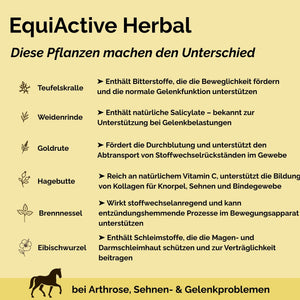 EquiActive Herbal – Zusatzfutter für Pferde mit Arthrose und Bewegungseinschränkungen