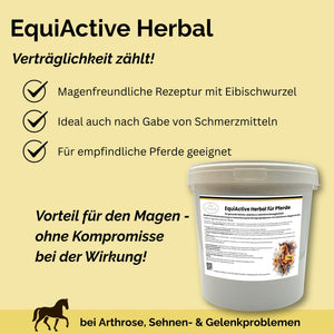 EquiActive Herbal – Zusatzfutter für Pferde mit Arthrose und Bewegungseinschränkungen