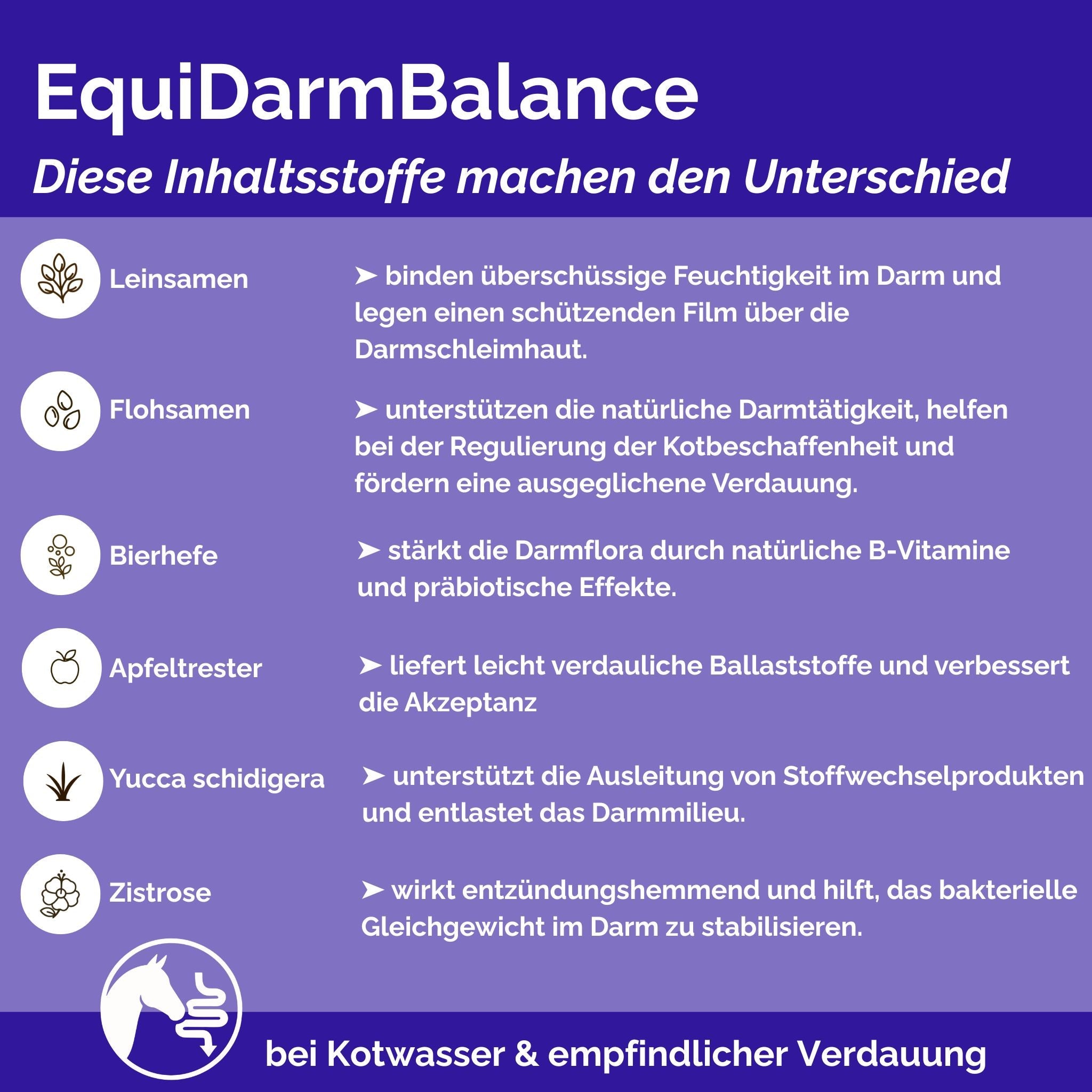 EquiDarmBalance – natürliches Zusatzfutter für Pferde bei Kotwasser & Durchfall