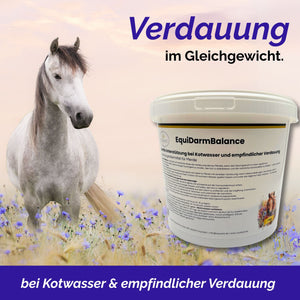 EquiDarmBalance – natürliches Zusatzfutter für Pferde bei Kotwasser & Durchfall
