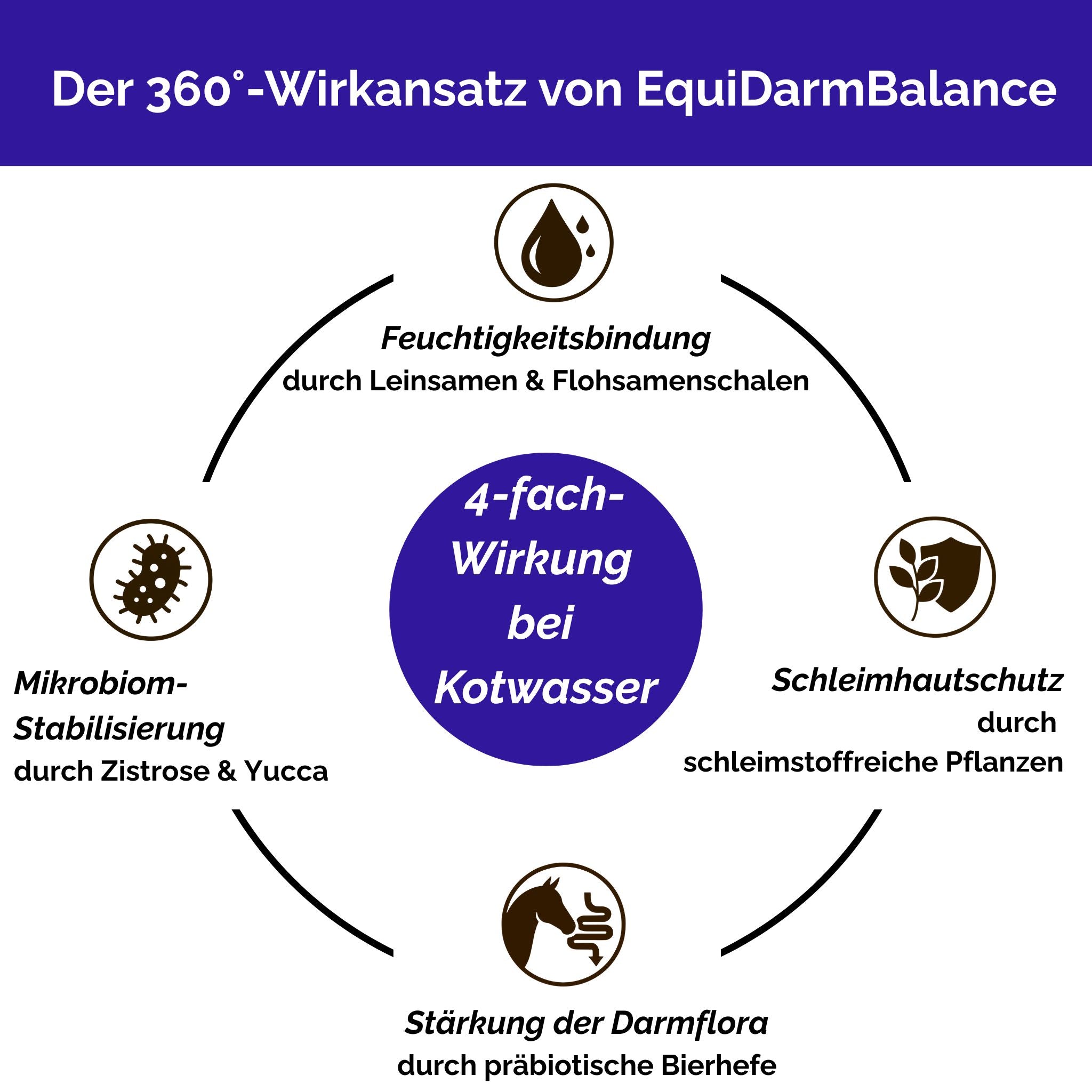 EquiDarmBalance – natürliches Zusatzfutter für Pferde bei Kotwasser & Durchfall