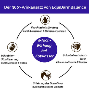 EquiDarmBalance – natürliches Zusatzfutter für Pferde bei Kotwasser & Durchfall