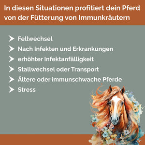 EquiImmunoBoost Herbal – Immunkräuter für Pferde zur Stärkung des Immunsystems