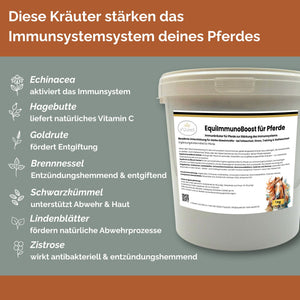 EquiImmunoBoost Herbal – Immunkräuter für Pferde zur Stärkung des Immunsystems