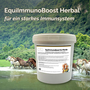EquiImmunoBoost Herbal – Immunkräuter für Pferde zur Stärkung des Immunsystems