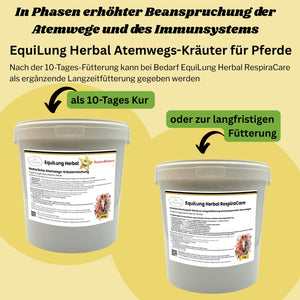 EquiLung Herbal RespiraBalance – Kräutermischung für Pferde in Phasen erhöhter Schleimbildung oder bei beanspruchten Atemwegen