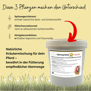 EquiLung Herbal Sensitiv – Hustenkräuter für Pferde zur Unterstützung empfindlicher Atemwege (10 Tage Fütterung)