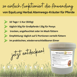 EquiLung Herbal Sensitiv – Hustenkräuter für Pferde zur Unterstützung empfindlicher Atemwege (10 Tage Fütterung)