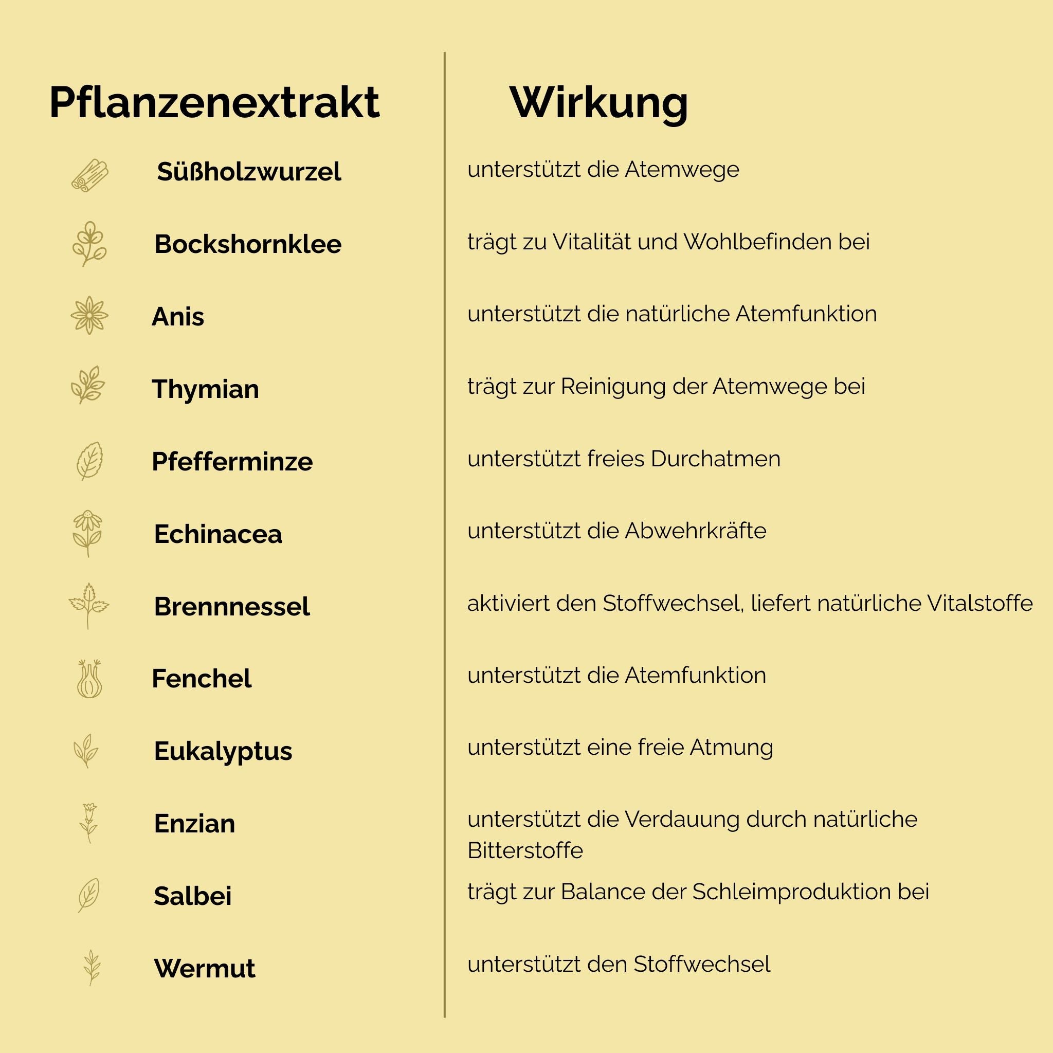 Vorteilspaket 3 × EquiLung Herbal Liquid – Flüssiges Ergänzungsfuttermittel für Pferde bei beanspruchten Atemwegen