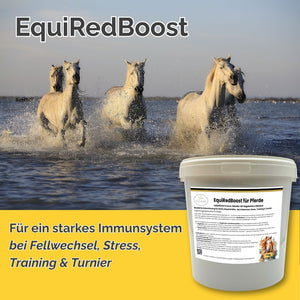 EquiRedBoost für Pferde 2kg - natürlicher Immun-Booster mit Hagebutte & Hibiskus