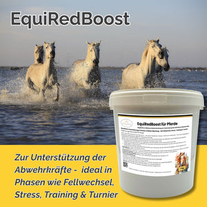EquiRedBoost 2kg - Hagebutte & Hibiskus zur Unterstützung der Abwehrkräfte