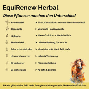 EquiRenew Herbal - Fellwechsel beim Pferd unterstützen