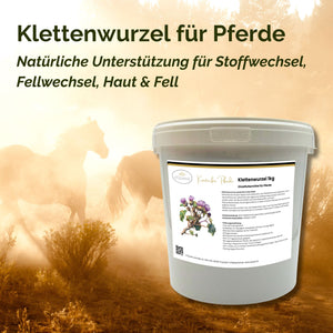 Klettenwurzel Pferd 1kg