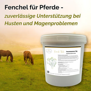 Fenchel Pferd - Hustenkräuter für Pferde - Magenkräuter Pferd